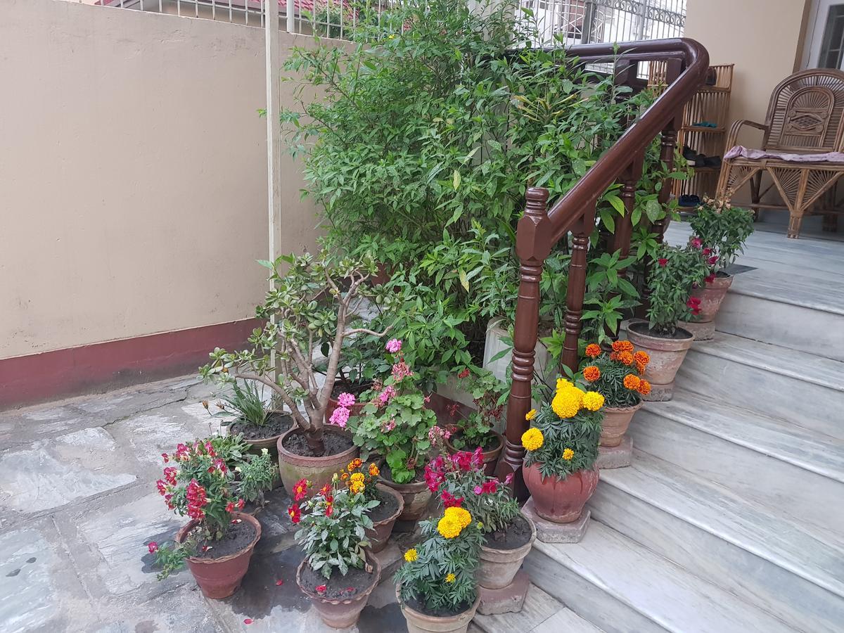 Cozy Home Jawlakhel Luaran gambar